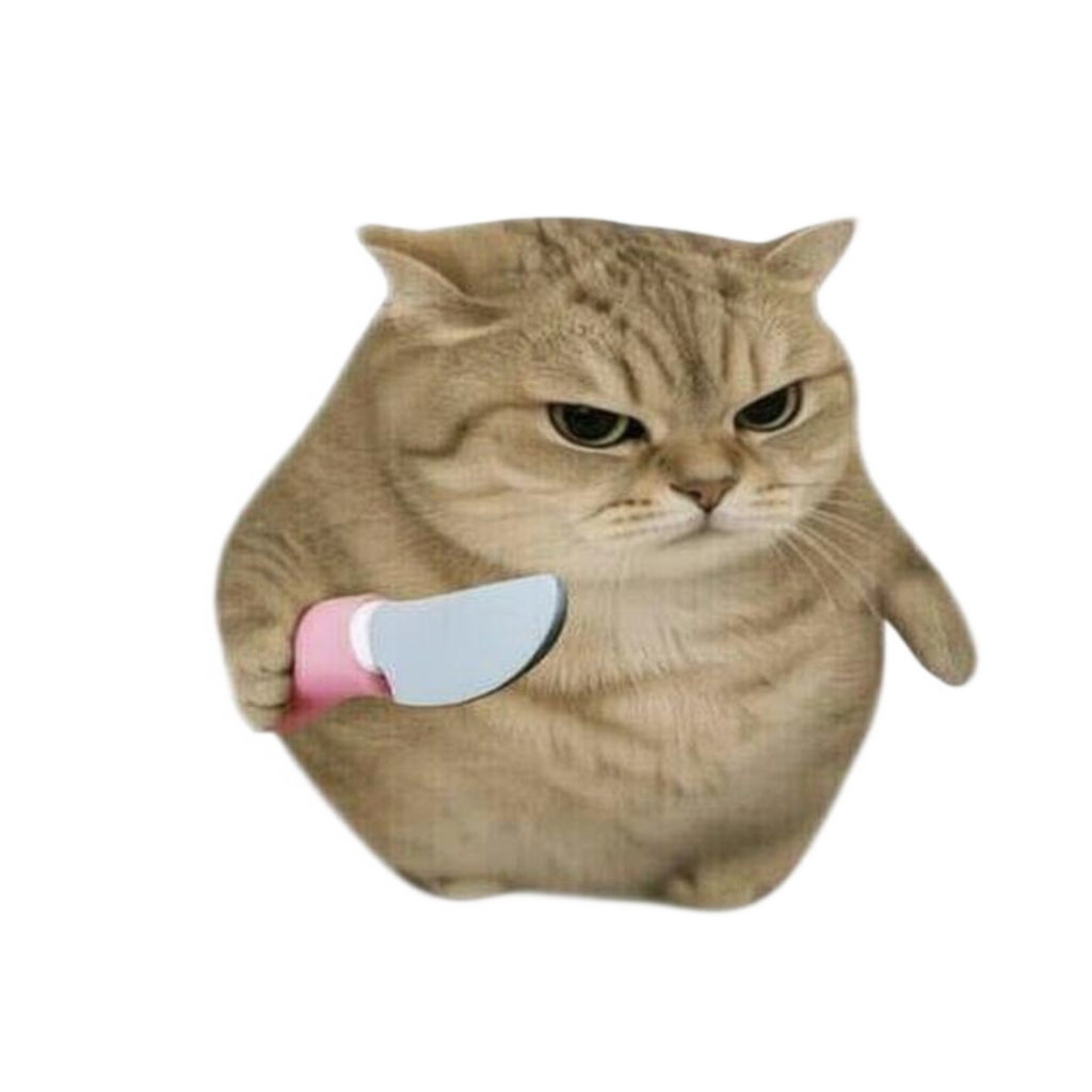A very serious chubby cat holding a toy knife